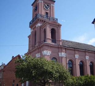 Ein Rundgang durch die "Rosenstadt" im Sommer 