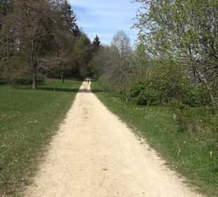 Rundweg am Beutenlay