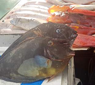 Stadtrundgang Pereybere