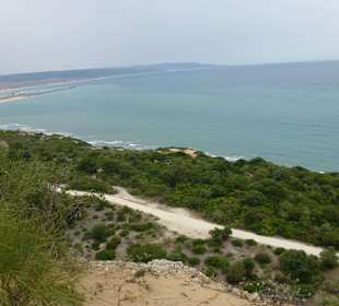 Kap Trafalgar