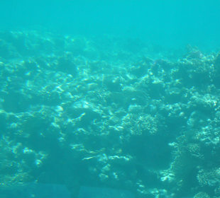 Submarine Sharm
