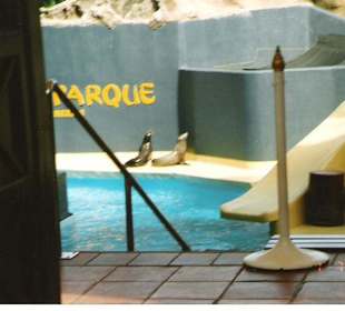 Loro parque