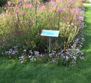 Schmuckhof Botanischer Garten
