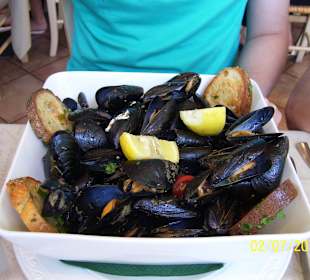 Miesmuscheln (Cozze) als Hauptspeise