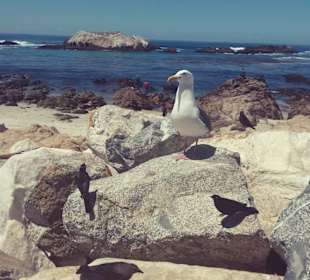Auf den Spuren der Siedler