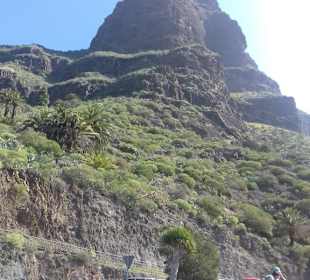 Masca Schlucht in Masca