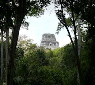 Tikal