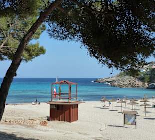 Strand - 100 Meter vor dem Hotel