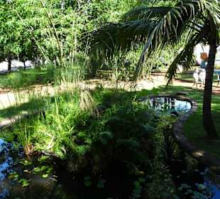 Spaziergang durch den Jardin de l'État