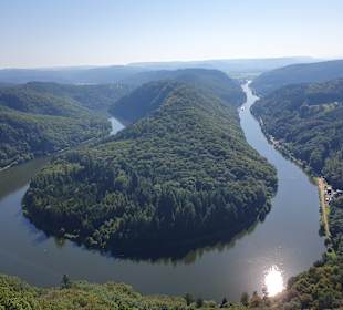 Baumwipfelpfad