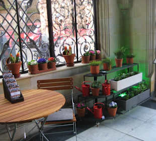 Altstadt Bremen - Impressionen