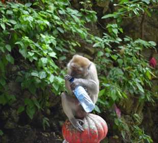 Batu Caves