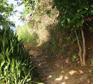 Der Weg zu den "Schweizern"