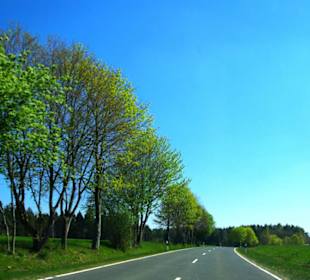 Die Bäume blühen Fränk.Schweiz