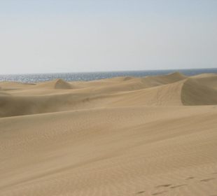 Wydmy w Maspalomas