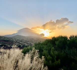 Wandern La Caleta de Adeje