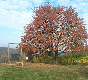 Wandern Grieselstein