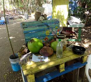 Rundgang durch die Idylle von Mimi´s Eco Farm