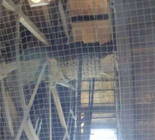 Seilwinde im Krantor (im Durchgang)