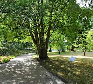 Rundgang durch den Botanischen Garten
