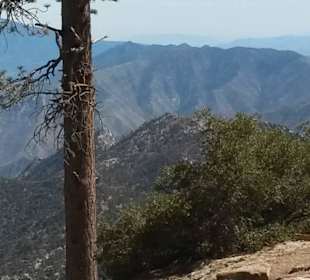 Wanderwege Mount San Jacinto
