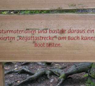 Wanderung auf dem Bergwald-Erlebnispfad