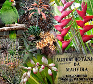 Foto-Mix