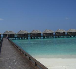 Island Hopping