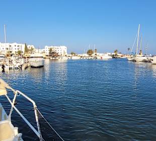 Catamaranfahrt mit der Allbatros