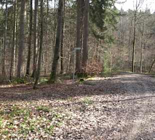 Gomaringer Rundweg - Zu den Giganten im Wald