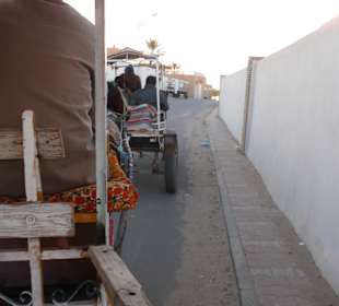 Palmenoase und Kutschfahrt