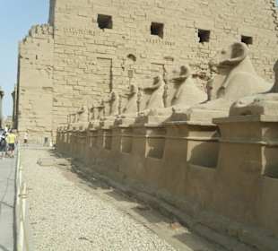 Zugang zum Karnak Tempel