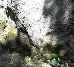 Premiumwanderweg Hochgehschätzt