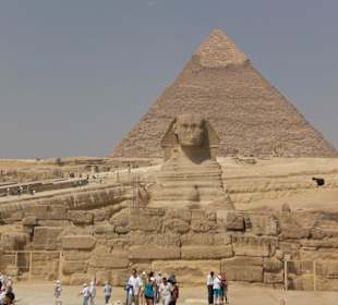 Sphinx vor der Chephren-Pyramide