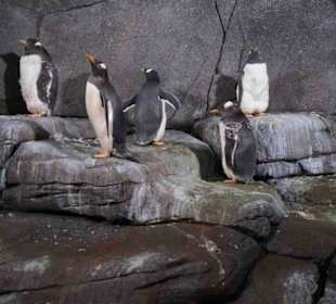Tierpark Hagenbeck