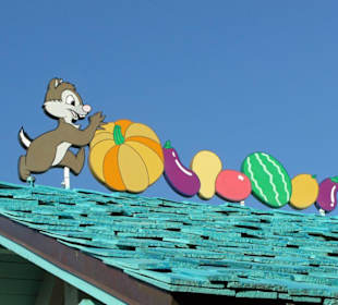 Wer läuft denn da auf dem Dach?