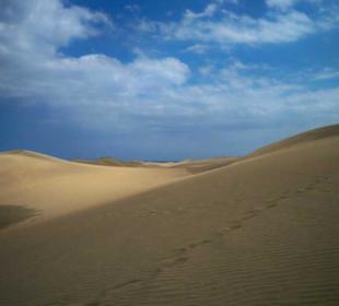 Dünen mein Sandkasten