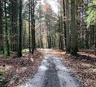 Wandern Seewald