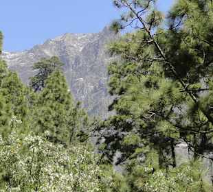 Caldera de Taburiente