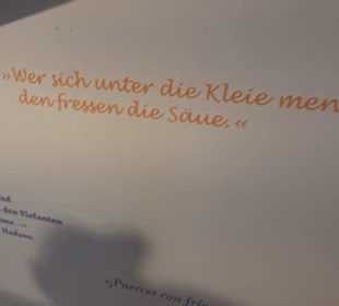 SchweineMuseum