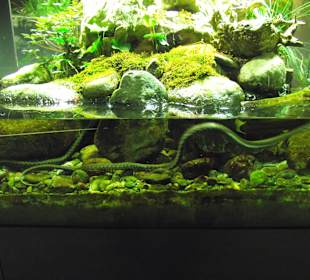 Völlig ungefährlich