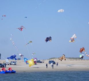 Auf der "Familienlagune" mit "Watten-Insel" 