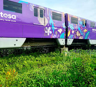 Sentosa Express
