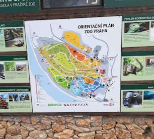 Zoo Besuch Prag