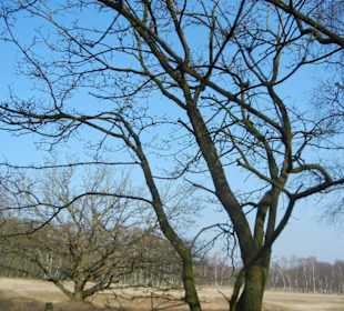 Wunderschöne Boberger Niederung