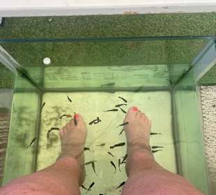 Fisch Spa Funny Life Hurghada