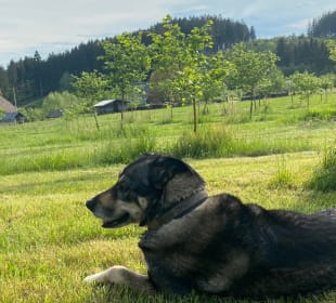Wandern Elzach