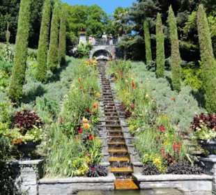 Insel Mainau 08/2017
