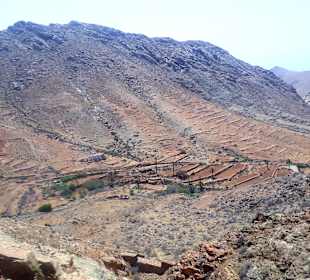 Inselrundfahrt Tagestour
