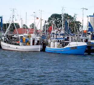 Burgstaaken Hafen v. Burg
